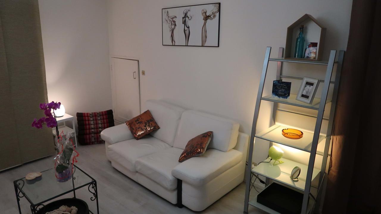 La Cour Victoria - Vosges Place & St Dizier St -27M2 Nancy Buitenkant foto
